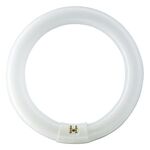 Philips TL-E 22W/54-765 1CT/12, фото  | SNABZHENIE.com.ua