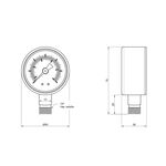Манометр SD Plus 50 мм 1/4", нижнее подключение SD1706B, фото , зображення 2 | SNABZHENIE.com.ua