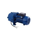Насос Forwater DP370A 0,75 кВт с инжектором, фото , изображение 2 | SNABZHENIE.com.ua
