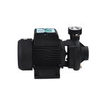 Насос поверхностный поливочный Pumpman 2DK20 Нmax 17 м Qmax 27 куб.м 2"х2" 750 Вт, фото , зображення 3 | SNABZHENIE.com.ua