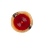 Валик Преміум 180*48*8 мм, фото , изображение 3 | SNABZHENIE.com.ua