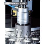 Твердосплавное корончатое сверло 66x55 мм Carbide ТСТ (HM) Weldon32 BDS Maschinen HKL 066, фото , изображение 3 | SNABZHENIE.com.ua