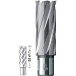 Твердосплавное корончатое сверло 51x55 мм Carbide ТСТ (HM) Weldon19 BDS Maschinen HKL 051, фото  | SNABZHENIE.com.ua