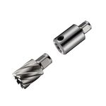 Подовжувач 100 мм, хвостовик Weldon 19 (3/4“) F194211, фото , зображення 3 | SNABZHENIE.com.ua