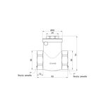 Обратный клапан Thermo Alliance Standart 1" SD242W25, фото , изображение 2 | SNABZHENIE.com.ua