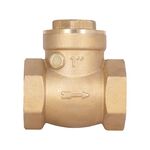 Обратный клапан Thermo Alliance Standart 1" SD242W25, фото , изображение 3 | SNABZHENIE.com.ua