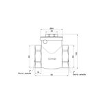 Обратный клапан Thermo Alliance Standart 2" SD242W50, фото , изображение 2 | SNABZHENIE.com.ua