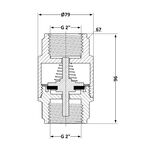 Обратный клапан с латунным штоком Thermo Alliance Forte 2"ВВ никель TAF240W50, фото , изображение 2 | SNABZHENIE.com.ua