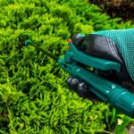 Опрыскиватель садовый помповый 20 л VERTO (15G508), фото , изображение 3 | SNABZHENIE.com.ua