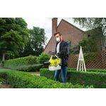 Ryobi Обприскувач-розпилювач акумуляторний ОNE+ RY18FGA-0 2л 18В 0.12л/хв 2.8кг без АКБ та ЗП, фото , изображение 3 | SNABZHENIE.com.ua