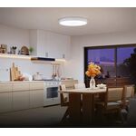 Потолочний світильник Govee 38cm Smart Ceiling Light Pro, RGBICWW, WI-FI/Bluetooth, білий, фото , зображення 3 | SNABZHENIE.com.ua