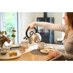 Чайник зі свистком Tefal Duetto+, 2.5л, нержавіюча сталь, сталевий, чорний, фото , зображення 3 | SNABZHENIE.com.ua