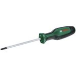 Викрутка Bosch Torx TX20x100мм, фото  | SNABZHENIE.com.ua