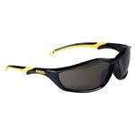 Очки DeWALT DPG96-2D, фото  | SNABZHENIE.com.ua