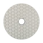 Круги алмазні полірувальні Круг 100x3x15 CleanPad #800, фото  | SNABZHENIE.com.ua