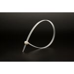 Хомут пластиковий MASTERTOOL 3.6х200 мм 100 шт білий 20-1807, фото , зображення 2 | SNABZHENIE.com.ua