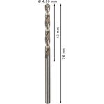 Набір спіральних свердел PRO Metal HSS-G, стандартна довжина, 4,2 x 43 x 75 мм, 10 шт. Bosch, фото , изображение 4 | SNABZHENIE.com.ua