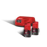 Енергокомплект M12 NRG-202 (B2 2шт + З/У С12С) 4933459209, фото , зображення 3 | SNABZHENIE.com.ua