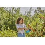 Плодосъемник Gardena Combisystem для сбора ягод, фото , изображение 2 | SNABZHENIE.com.ua