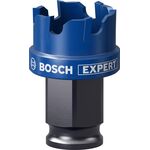 Коронка EXPERT Sheet Metal, 25 x 5 мм BOSCH, фото  | SNABZHENIE.com.ua