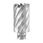 Корончатое сверло RUKO HSSE Co 20,0x30 мм Quick IN (108920ER), фото  | SNABZHENIE.com.ua