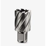 Сверло корончатое по металлу FS CUT Weldon 19 HSS 29x25 мм F192029, фото  | SNABZHENIE.com.ua