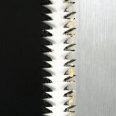 Змінне полотно TAJIMA FLUORINE BLACK 265 мм, 16TPI, GNB265FBP, фото , зображення 2 | SNABZHENIE.com.ua