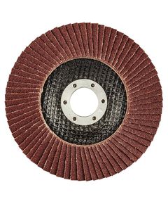 Пелюсткові круги 125x22.2 мм K100 55H990 для шліфування, фото  | SNABZHENIE.com.ua