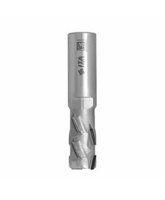 Фреза DIA Z2+2 PRO D=20 I=35 L=94 S=20x50 RH 8+1 PCD H2,5 4 спирали, фото  | SNABZHENIE.com.ua