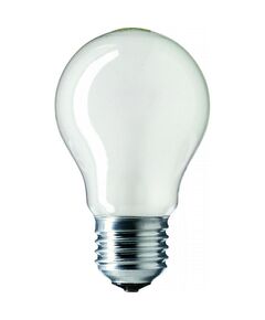 Philips E27 100W 230V A55 FR 1CT/12X10F Stan, фото  | SNABZHENIE.com.ua