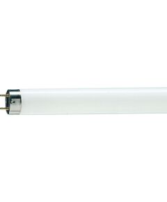 Philips TL-D G13 1500mm 58W/54-765 1SL/25, фото  | SNABZHENIE.com.ua