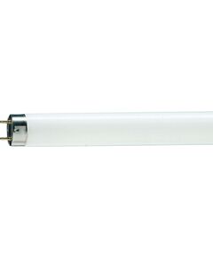 Philips TL-D G13 1500mm 58W/33-640 1SL/25, фото  | SNABZHENIE.com.ua