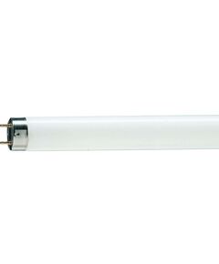 Philips TL-D G13 1200mm 36W/54-765 1SL/25, фото  | SNABZHENIE.com.ua
