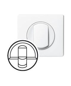 Legrand Лицьова панель розетки 1xRJ45 кат.6 (для UTP/FTP/SFTP) (білий), Celiane, фото  | SNABZHENIE.com.ua