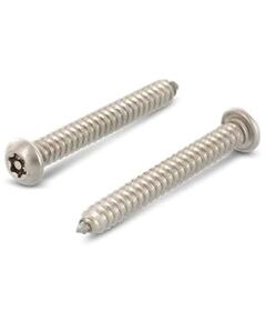 Самонаріз 4,8х50 А2 нпкр TORX25 антивандал., фото  | SNABZHENIE.com.ua