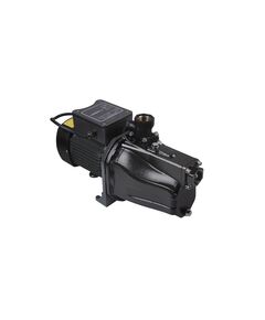 Насос поверхностный самовсасывающий Thermo Alliance SJET-100N 0,75 кВт, фото  | SNABZHENIE.com.ua