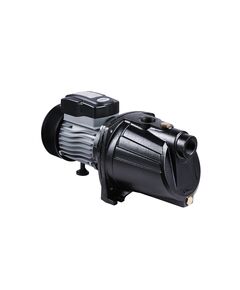 Насос самовсасывающий центробежный Thermo Alliance D-JNWm-10M 0,75 кВт, фото  | SNABZHENIE.com.ua