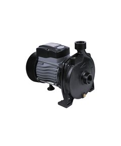 Насос поверхностный центробежный Thermo Alliance CPm158/1 0,75 кВт, фото  | SNABZHENIE.com.ua