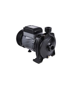 Насос поверхностный центробежный Thermo Alliance CPm170/1 1,1 кВт, фото  | SNABZHENIE.com.ua