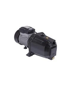 Насос самовсасывающий центробежный Thermo Alliance D-JETm-100M 0,75 кВт, фото  | SNABZHENIE.com.ua