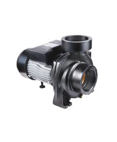 Насос поверхностный центробежный Thermo Alliance CPm300/4 2,2 кВт, фото  | SNABZHENIE.com.ua