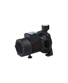 Насос поверхневий поливальний Pumpman TGA1A Нmax 18 м Qmax 16 куб.м 1 1/2х1 1/2 750 Вт, фото  | SNABZHENIE.com.ua