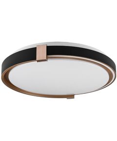 COLISEUM матовий 60W 395*60мм 3000К-6500К з ДК чорне золото  60 (1572), фото  | SNABZHENIE.com.ua