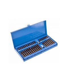 Набір біт S2, 40 шт. в металевому кейсі  HEX/TORX/SPLINE (HT1S405), фото  | SNABZHENIE.com.ua