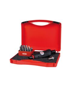 Набори з шліфмашинок пневматичних   (116), фото  | SNABZHENIE.com.ua