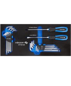 Набір викруток і шестиграних ключів  21 шт., EVA  21 (HT7G134), фото  | SNABZHENIE.com.ua