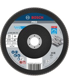 BOSCH Лепестковый шлифовальный диск, прямой, волокнистый, фото  | SNABZHENIE.com.ua