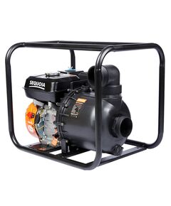 Мотопомпа бензинова для агресивних речовин SEQUOIA SPP1000C, фото  | SNABZHENIE.com.ua