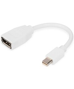 Адаптер DIGITUS miniDisplayPort > miniDisplayPort (M/F), UHD 4K, фото  | SNABZHENIE.com.ua