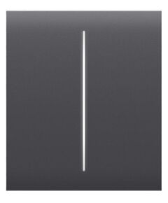 Кнопка центральна для двоклавішного вимикача Ajax CenterButton 2-gang for LightSwitch, Jeweler, бездротовий, graphite, фото  | SNABZHENIE.com.ua